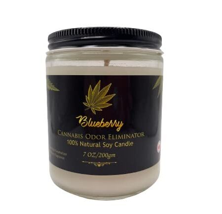 Cannabis Odor Eliminator 100% Soy Wax 8 oz Jar Candle (Blueberry)