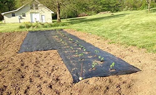 Weed Control Fabric Planting Holes,Ground Cover Weed Barrier Easy-Plant Weed Block for Raised Bed Outdoor Garden Weed Rugs Garden mat,3ftx12ft